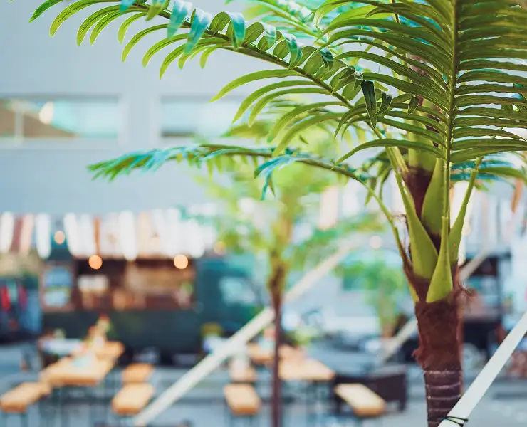 Close-up van groene bladeren van een plant met een vage achtergrond van buitenzitplaatsen en verlichting.