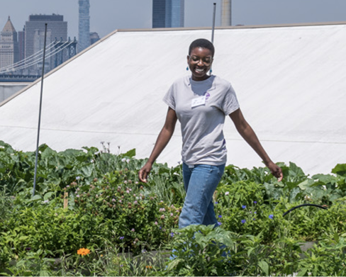 A person walking through a vegetable garden