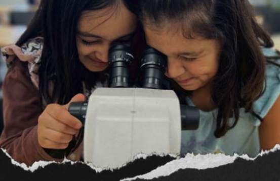 Children looking through microscope