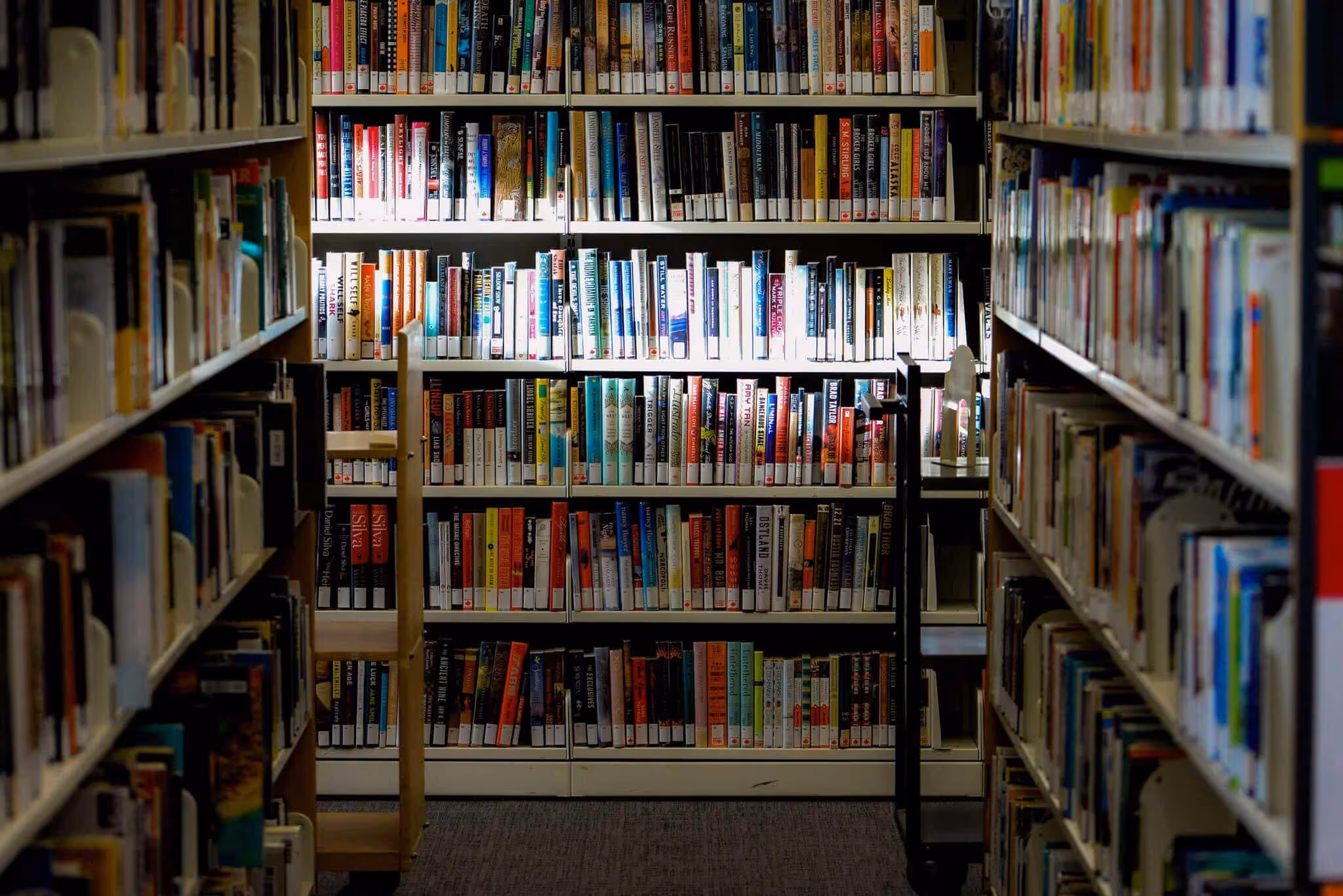 Sunlight shining across a tall shelf of books at the library