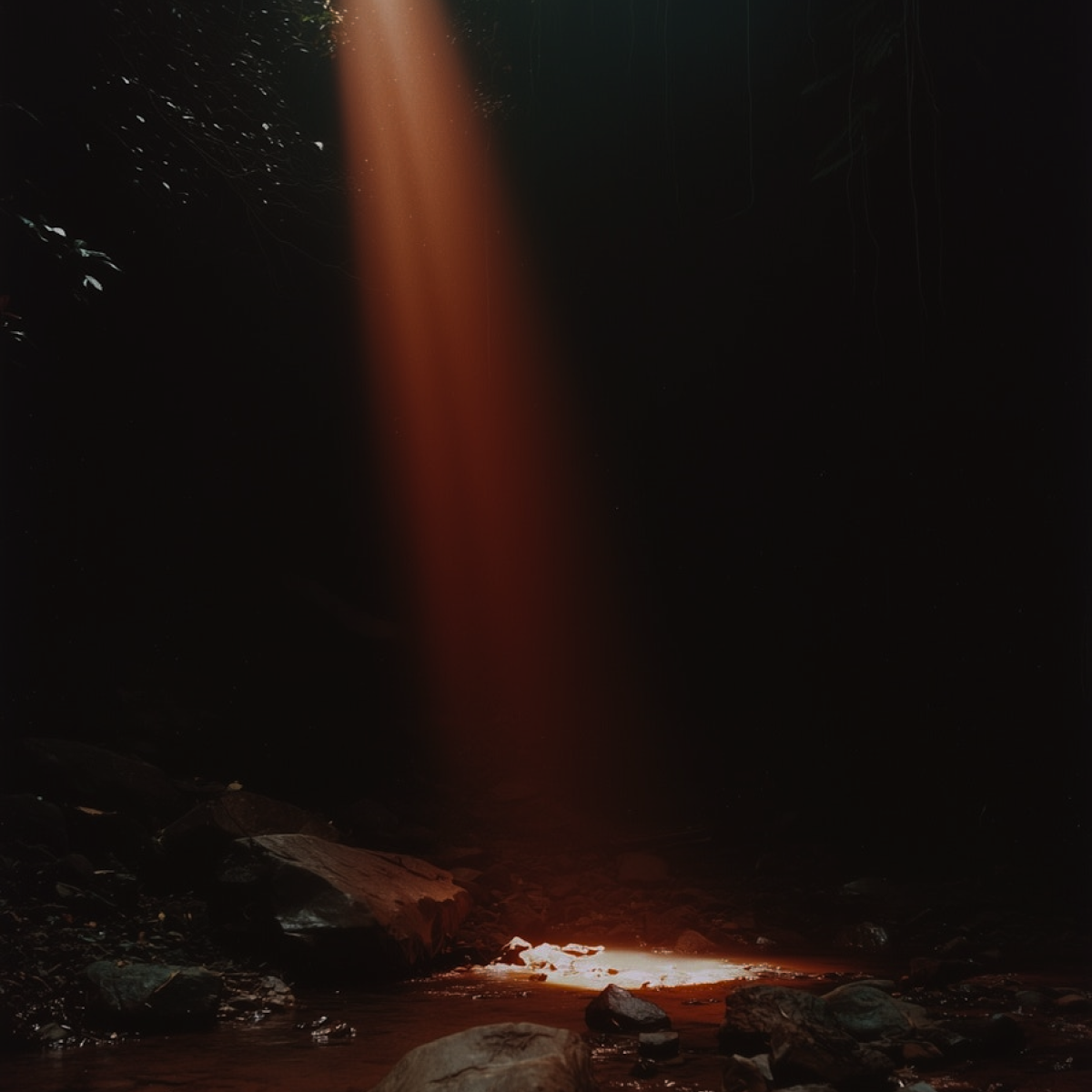 Find My Factory vs SAP Ariba 2026 Comparison