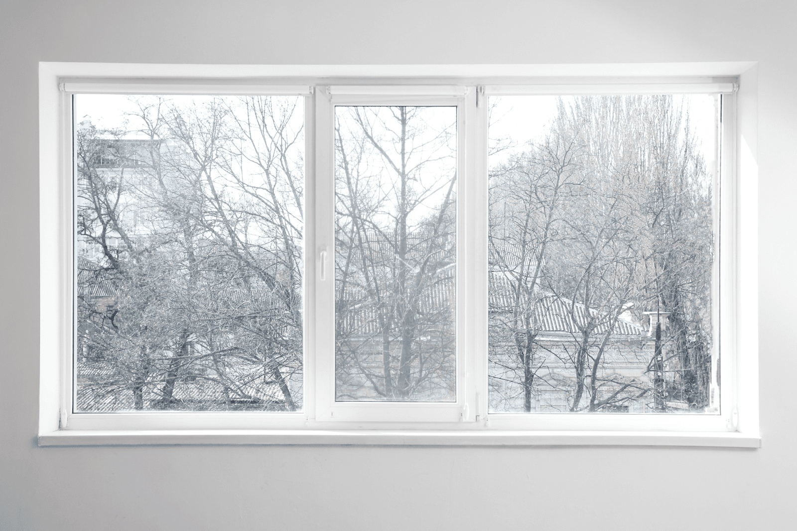 A white-framed window showing a wintery outdoor scene with bare trees and rooftops lightly dusted with snow.