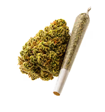 Flower & Pre-rolls