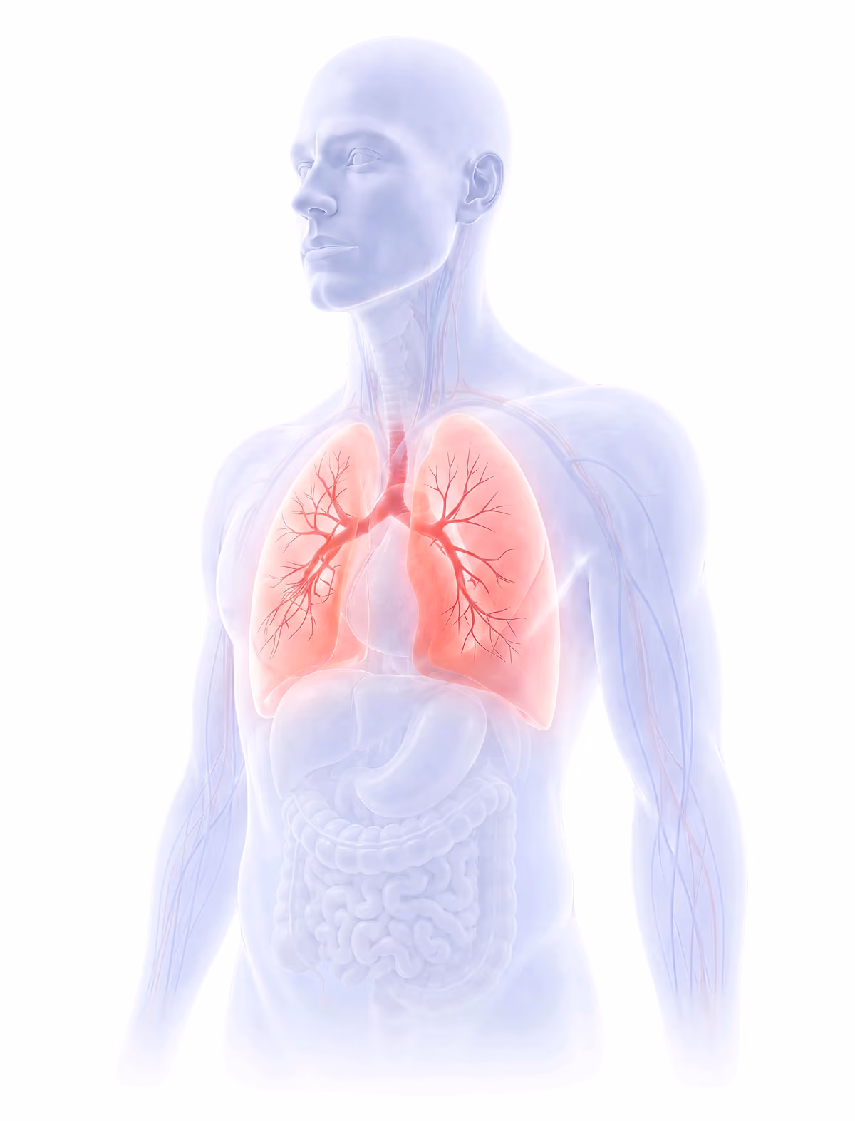 Vapes absorption