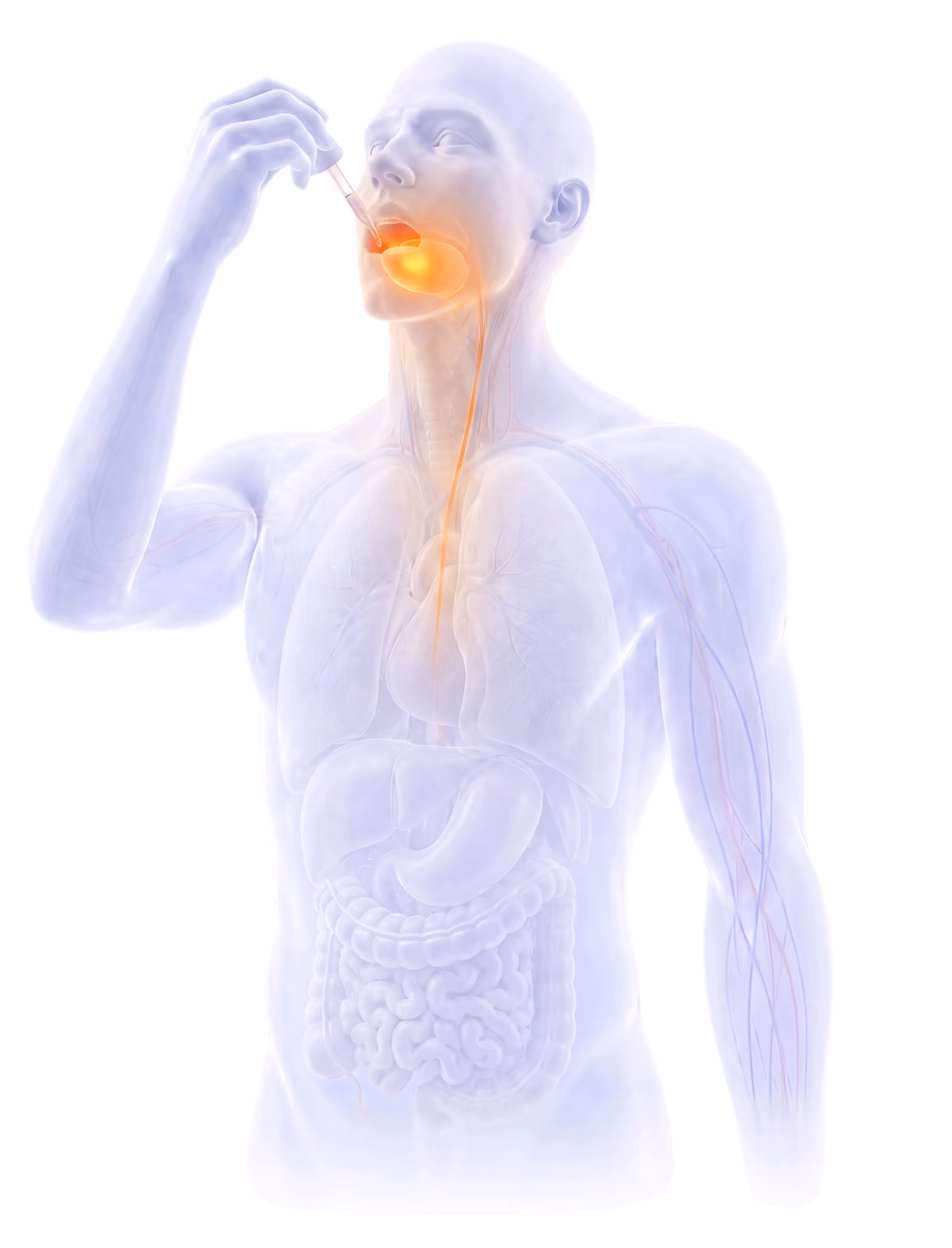 Tinctures ingestion