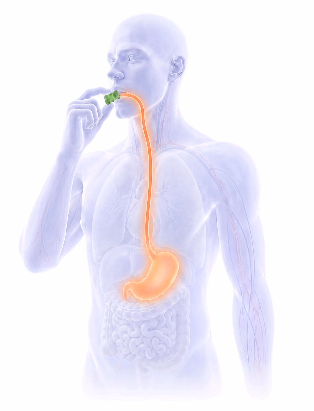 Edibles ingestion
