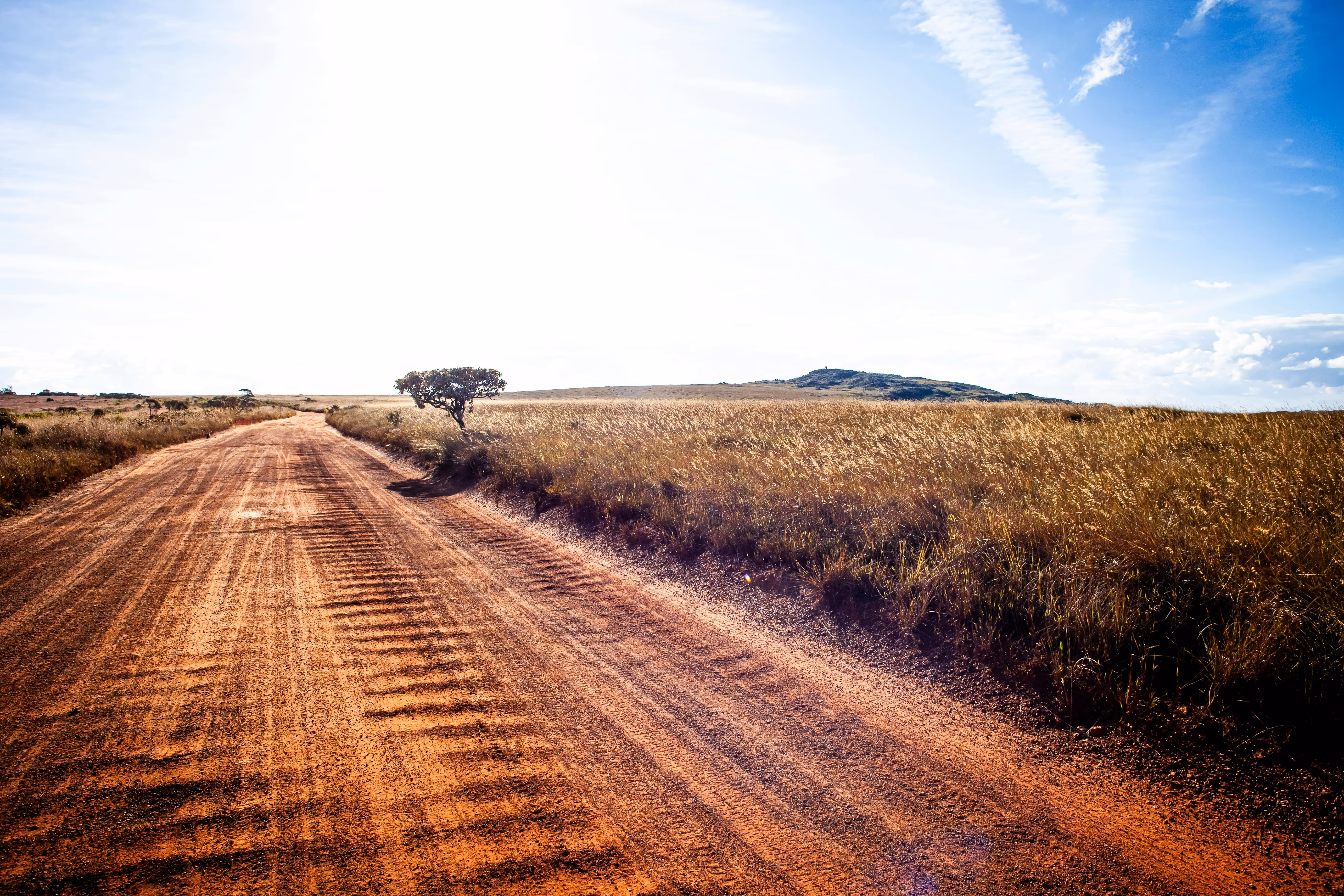 Sunlit dirt road stretching through a dry grassland with a lone tree and a hill in the distance under a blue sky.
