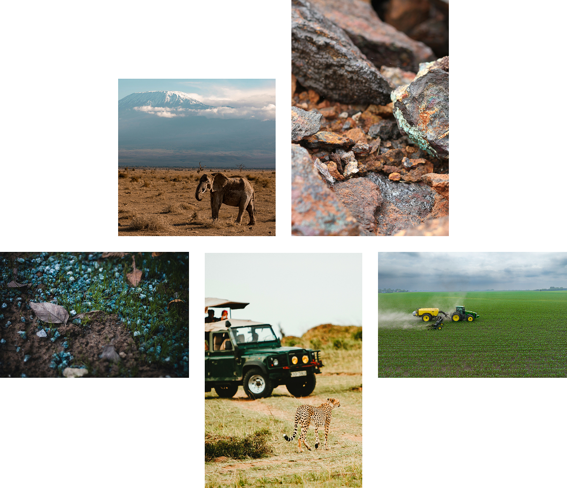 Team collaboration photos at Phiros Group