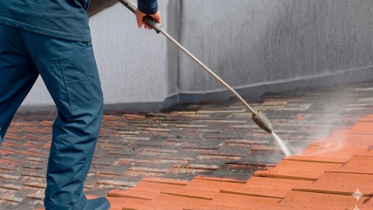 Roof cleaning and soft wash