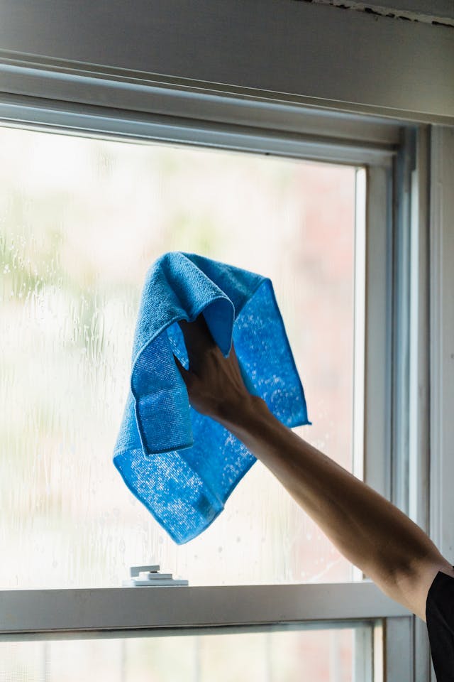 windows cleaning service