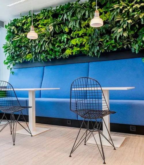 kantoor met groene wand