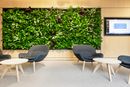 Living wall