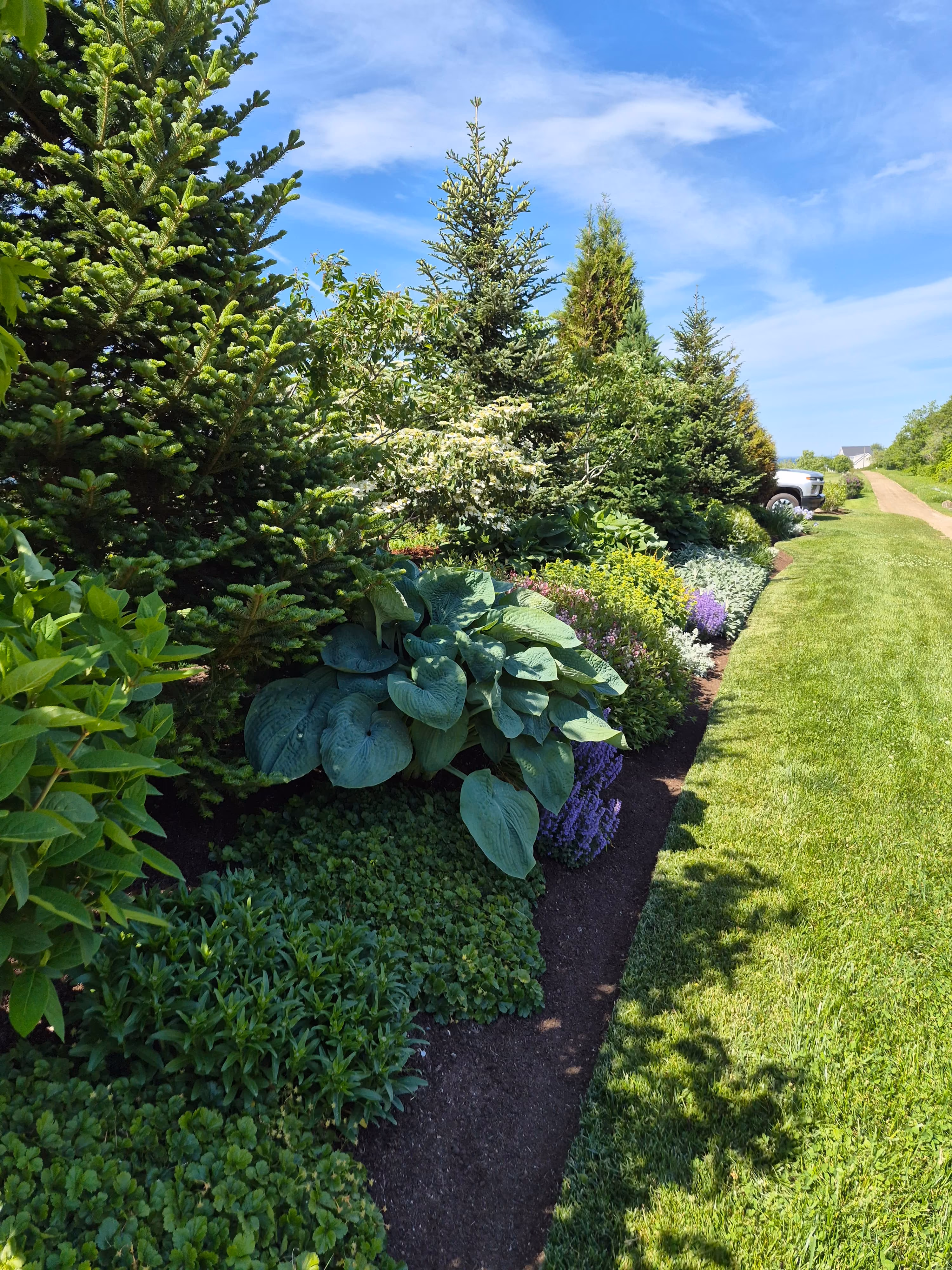 Yardfit Maine Softscape Design & Maintenance