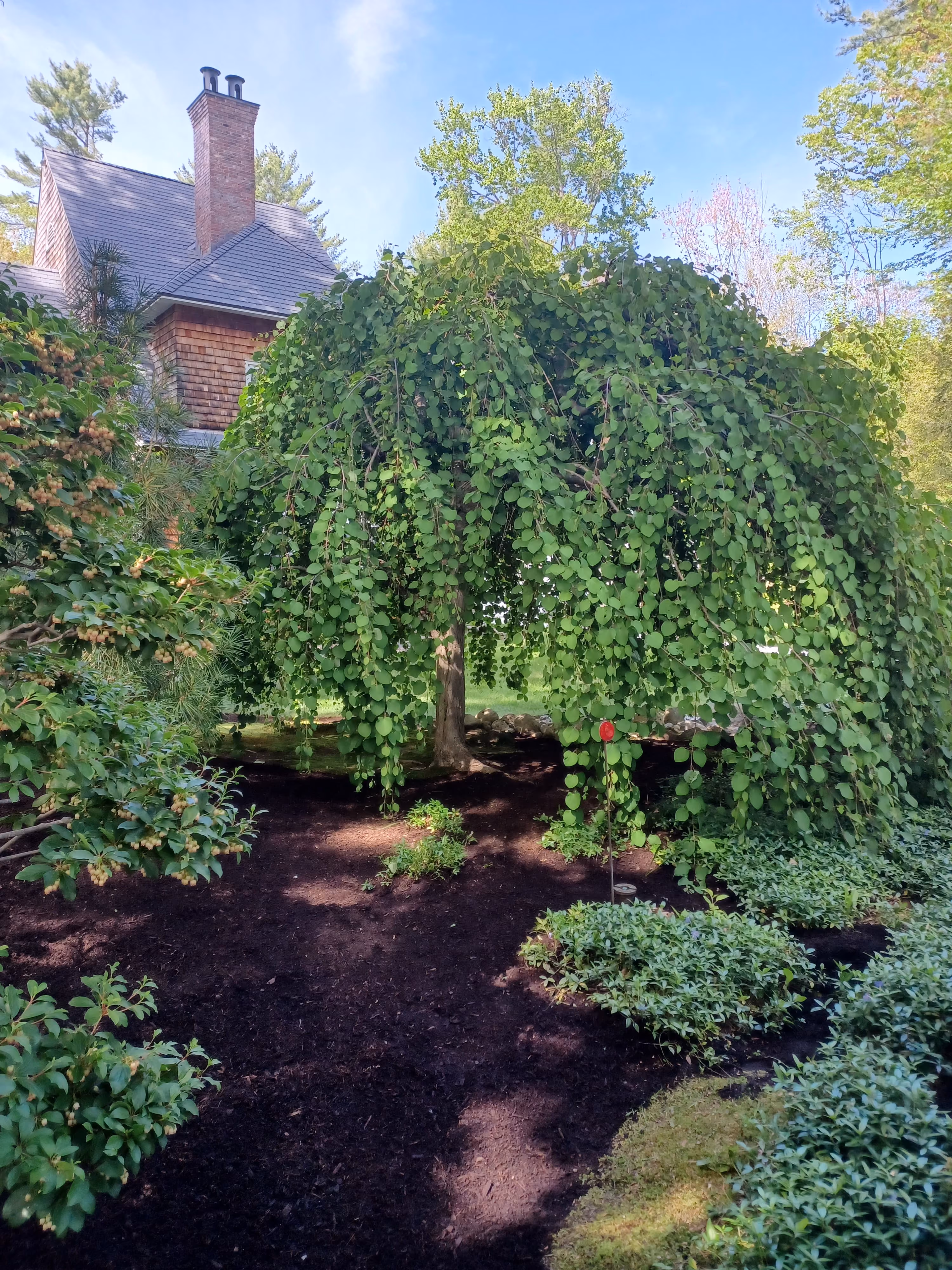 Yardfit Maine Tree Care