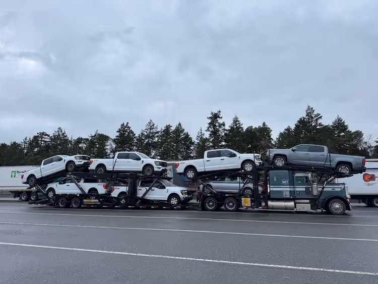 Car carrier truck parked on wet pavement carrying six white and gray pickup trucks against a cloudy sky with trees in the background.