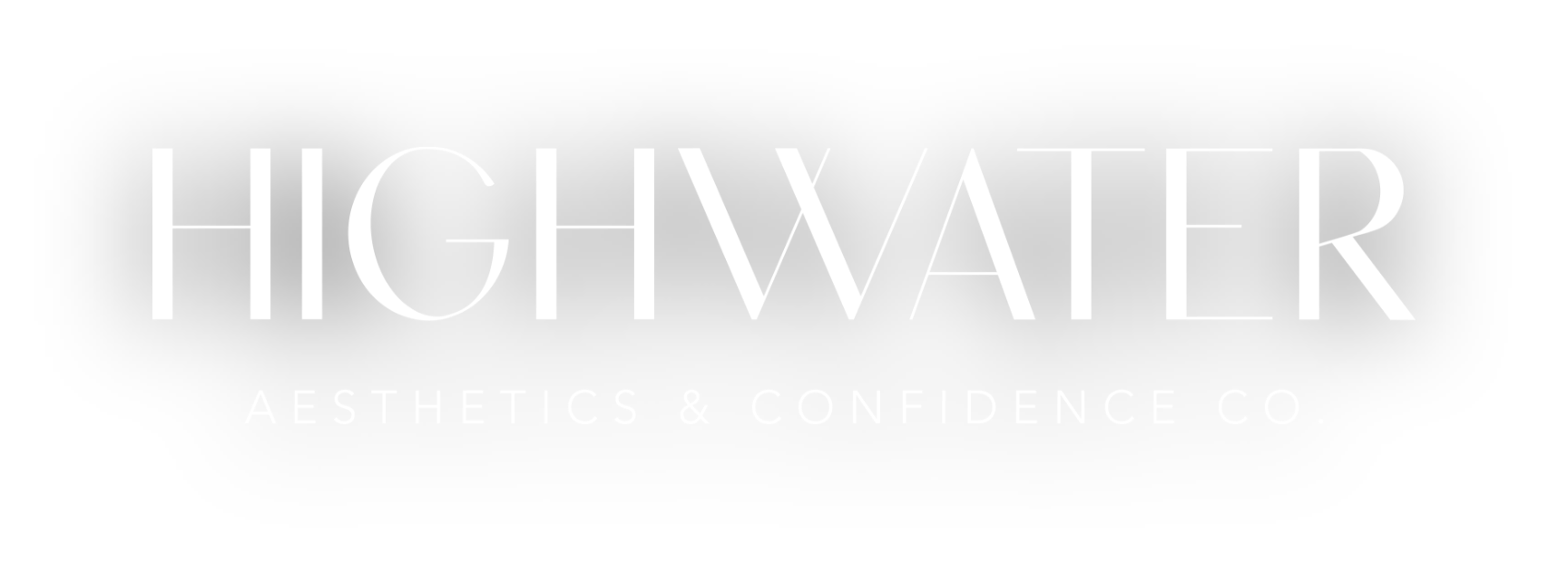 The logo for high water aesthetics and conference co.