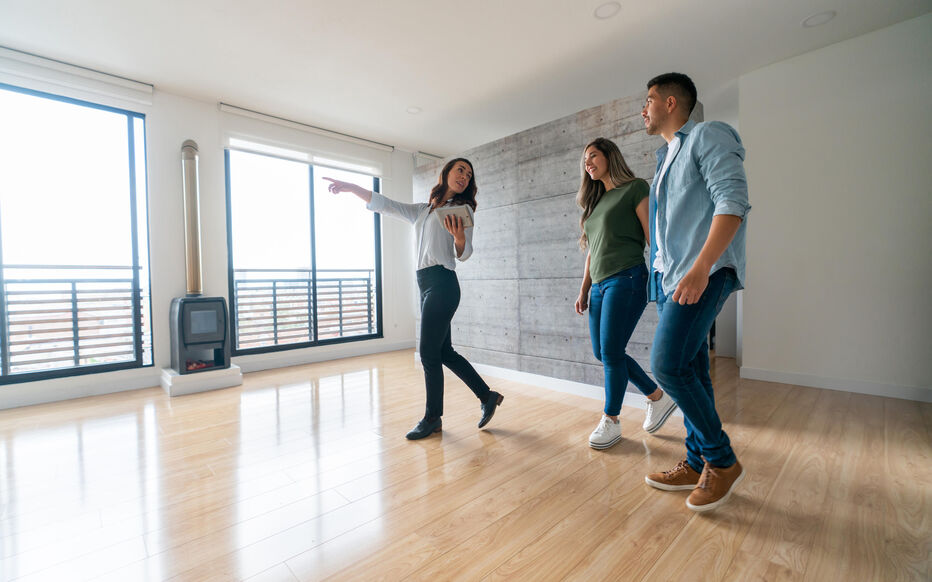 agents et mandataires immobiliers DPE