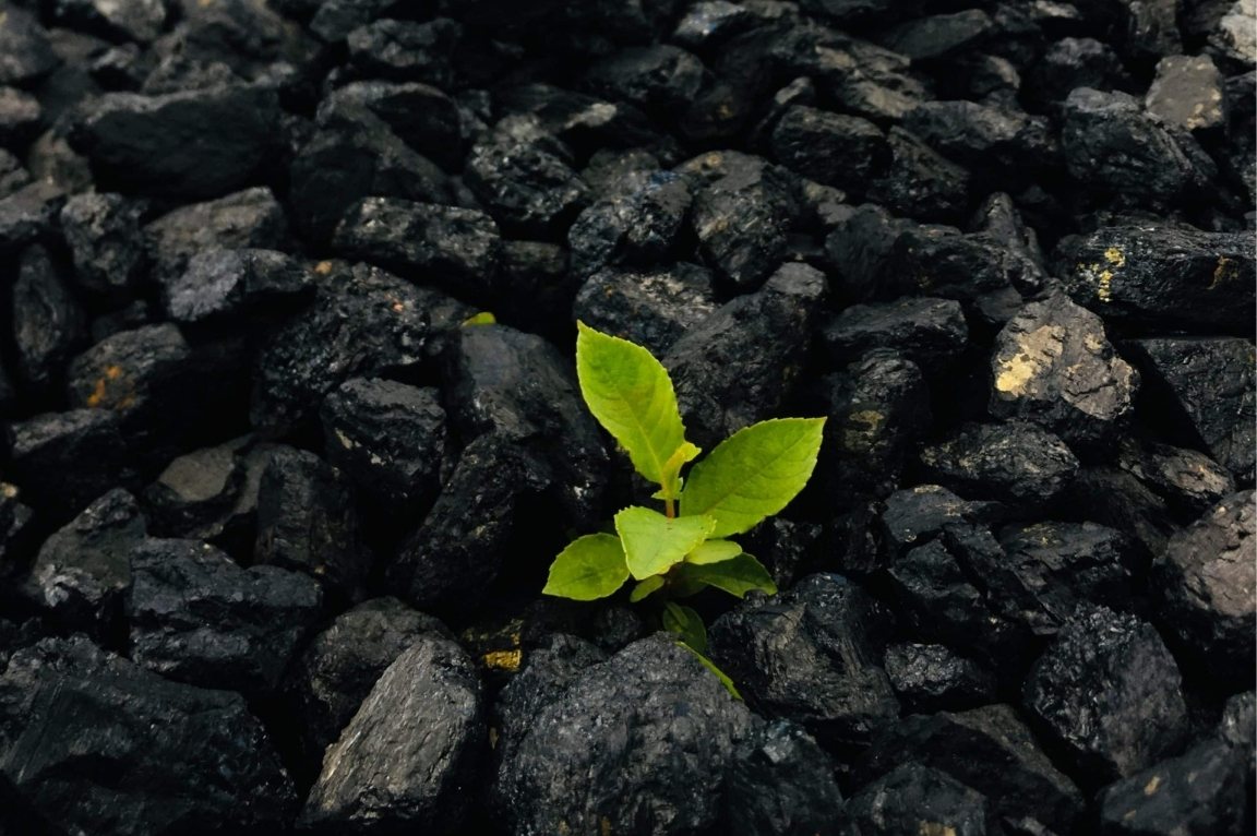 educating the public on conservation