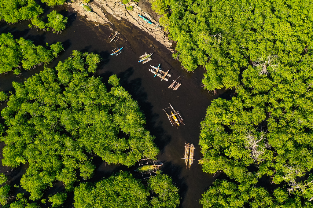 educating the public on conservation