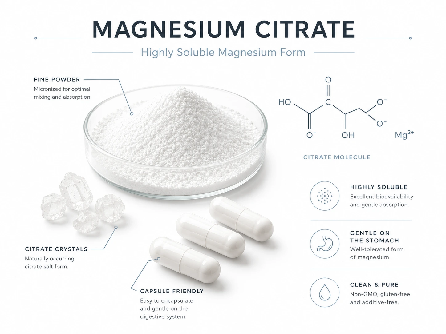Magnesium Citrate ingredient infographic showing white powder, capsules, citrate crystals, molecule diagram, and highly soluble magnesium support benefits.