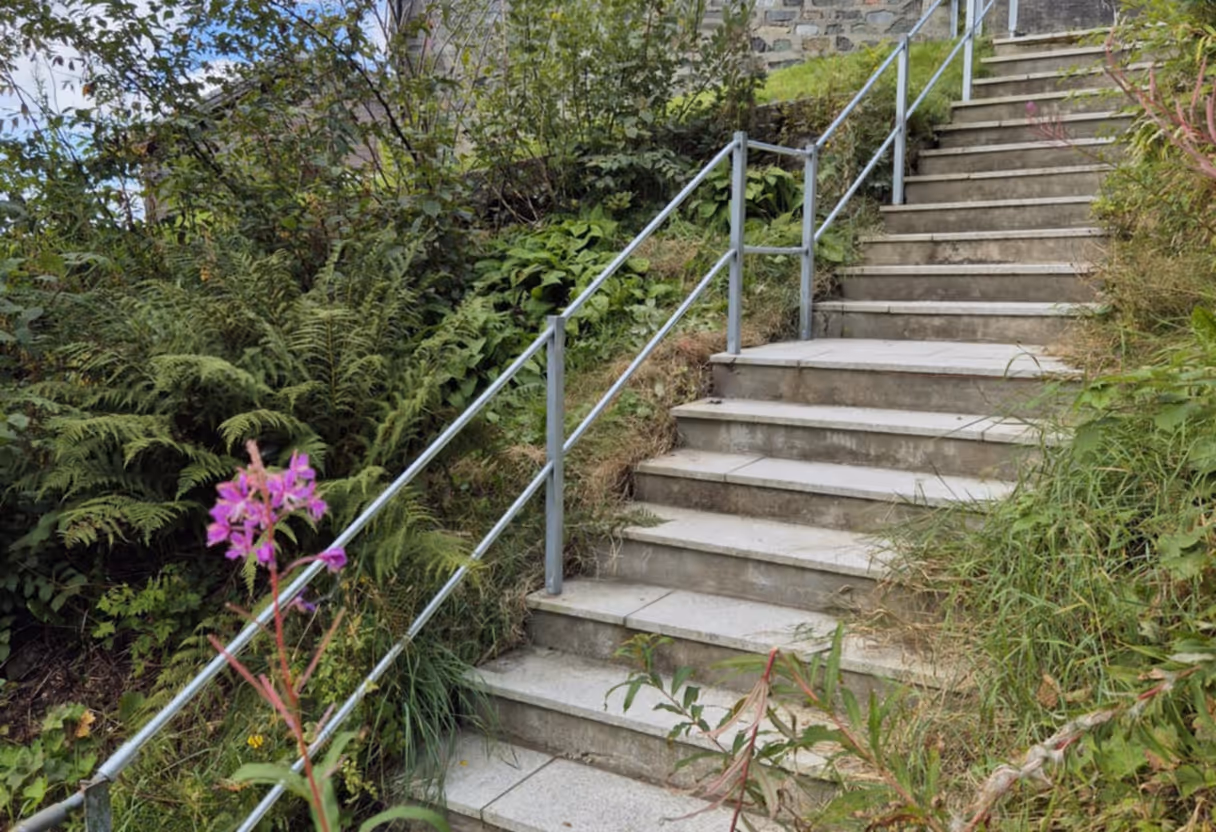 Utendørs betongtrapp med metallrekkverk omgitt av grønne planter og en lilla blomst.