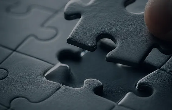 A puzzle about to be completed