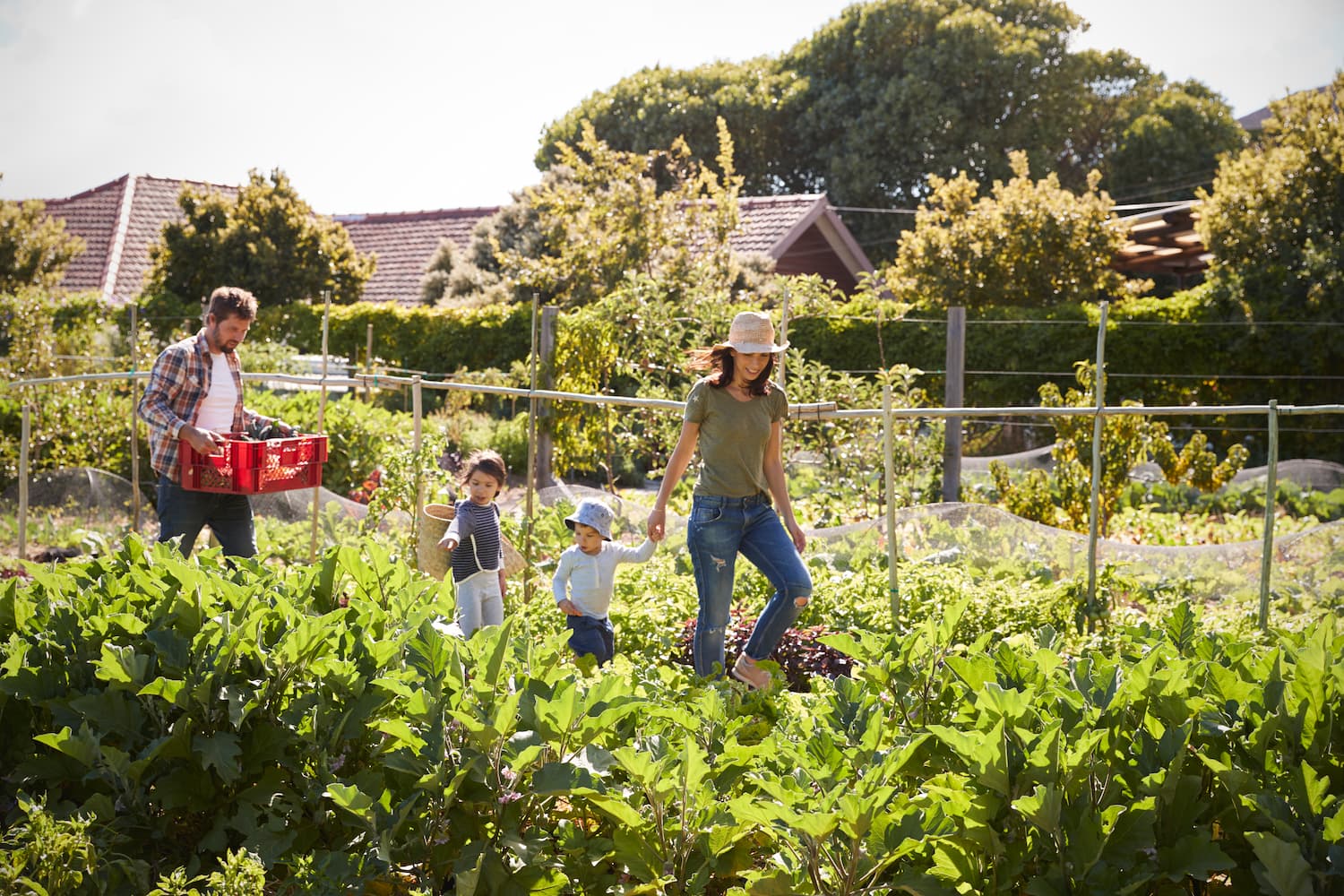 cute family enjoying community garden