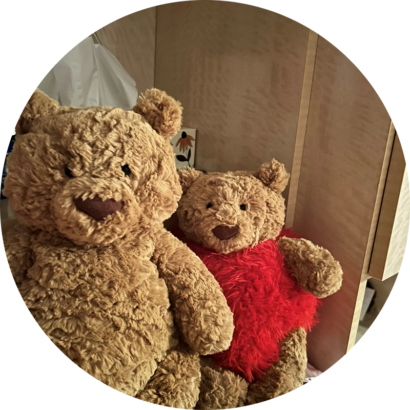 Image of two teddy bears