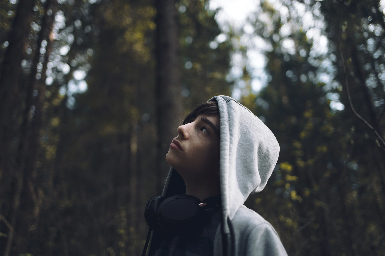 A teenage boy wearing a hoodie and headphones around his neck looks up while standing in a forest.