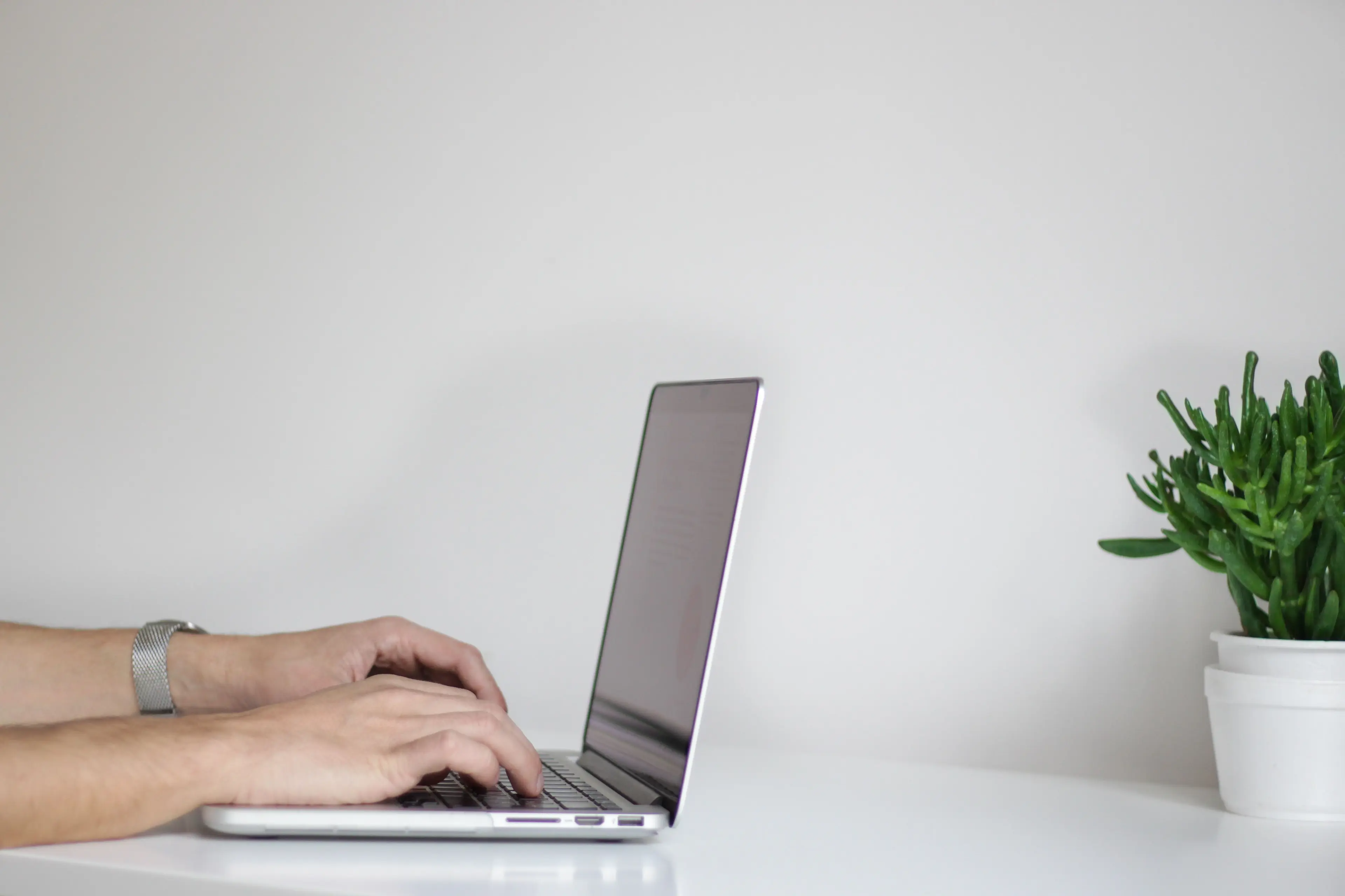 Hands typing on a laptop on a white desk with a small green potted plant beside it.