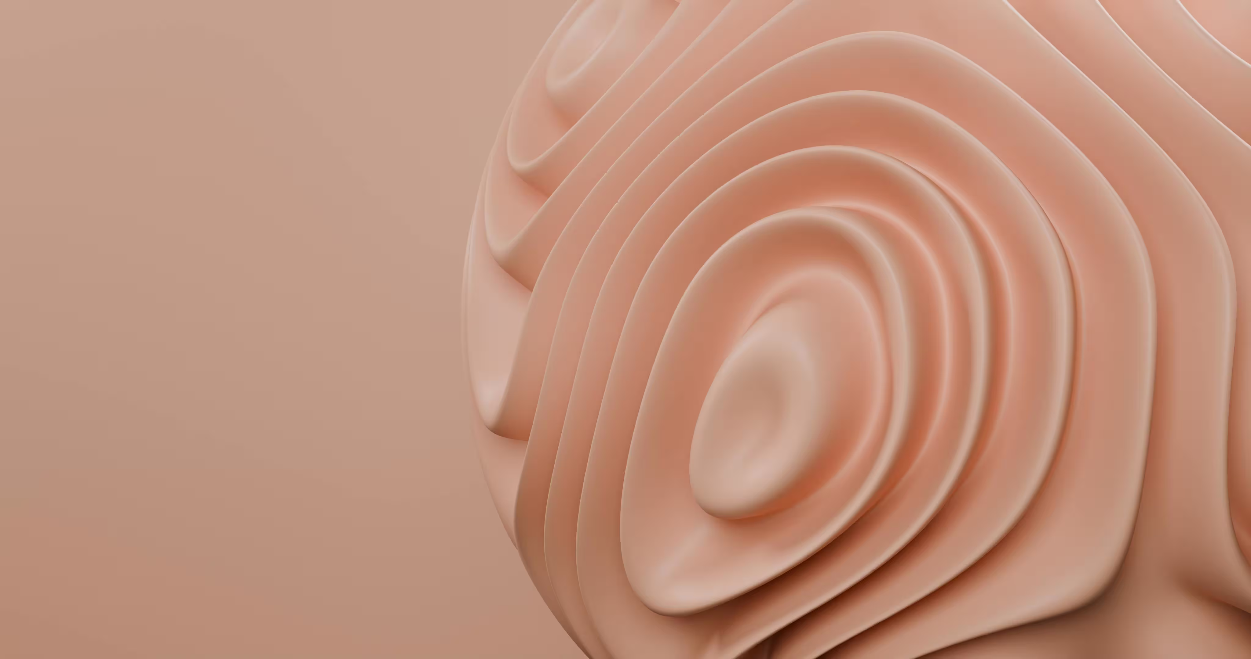 3D Shape Modeling Assets