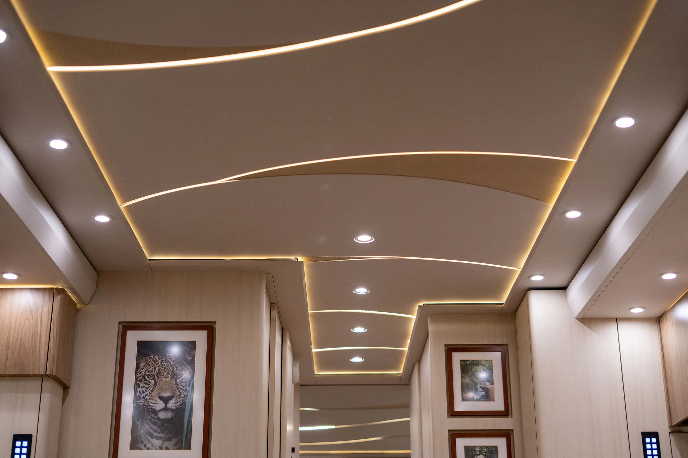 Modern ceiling with recessed and strip lighting in a light wood-paneled room featuring framed animal photographs on the walls.