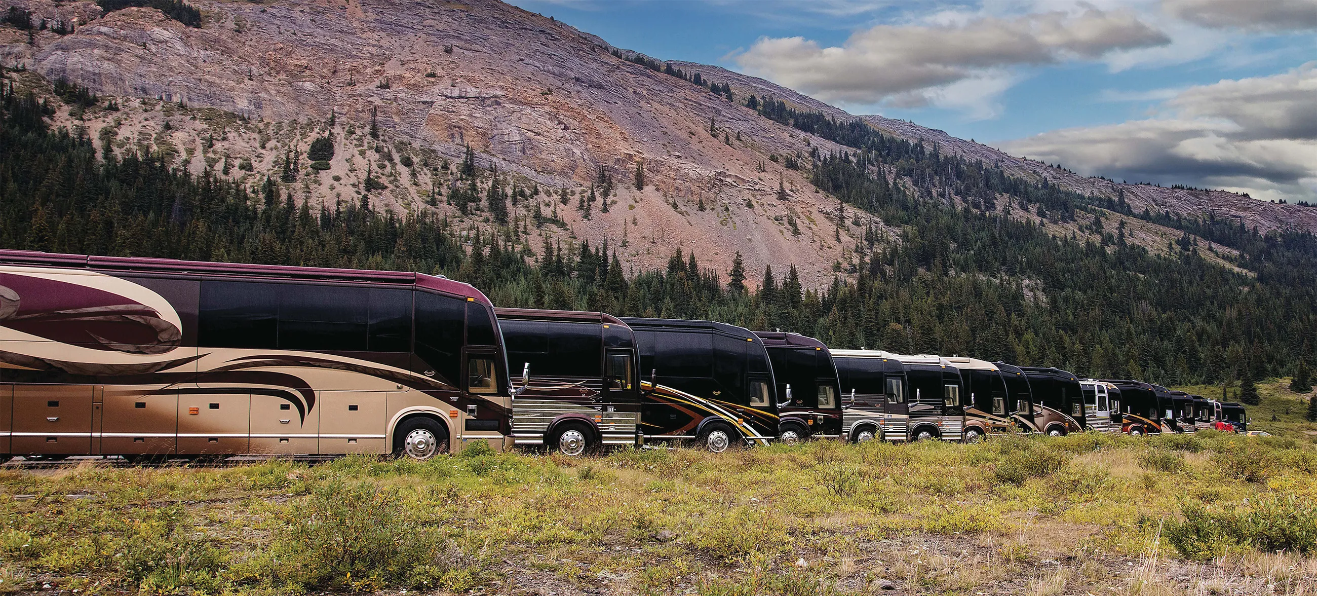 Line of parked luxury tour buses in a grassy area with forested hills and rocky mountains in the background under a partly cloudy sky.