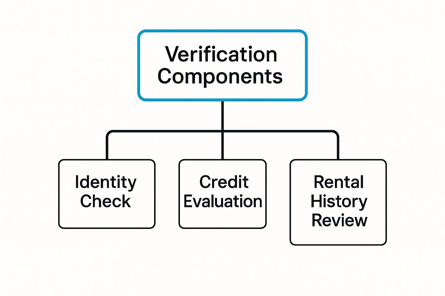 Infographic about tenant verification services