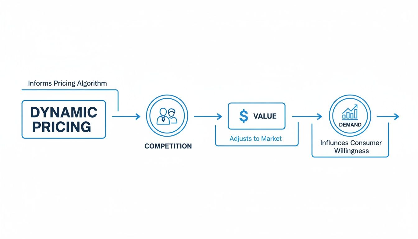 Flowchart illustrating dynamic pricing's influence on competition, market value adjustments, and consumer demand.