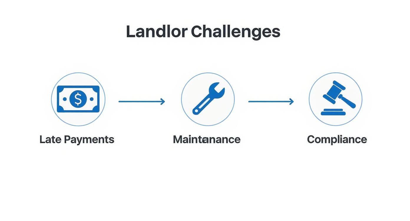 Infographic about best property management software for small landlords