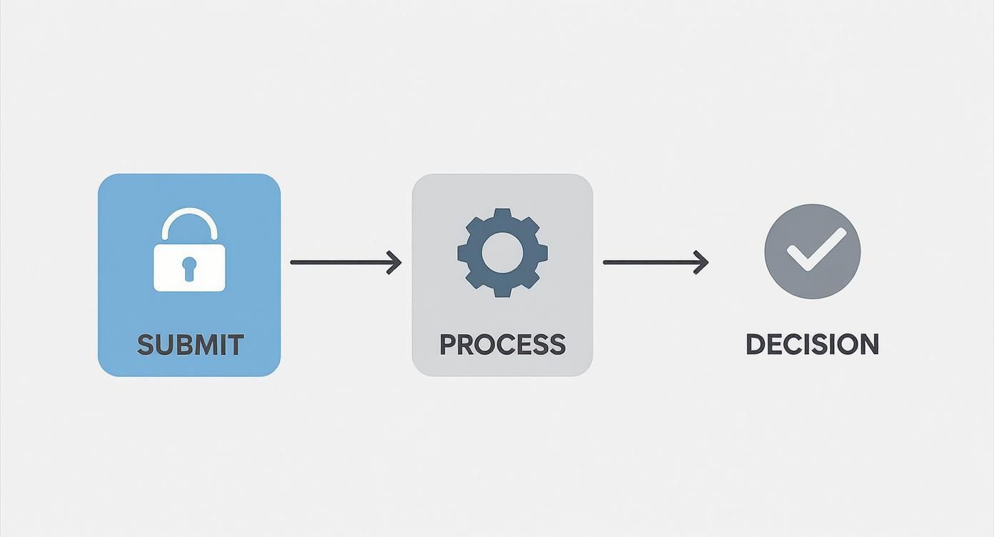 Infographic about tenant rental application
