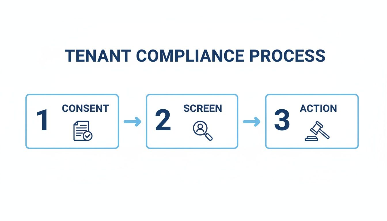 Diagram illustrating a three-step tenant compliance process: Consent, Screen, and Action with corresponding icons.