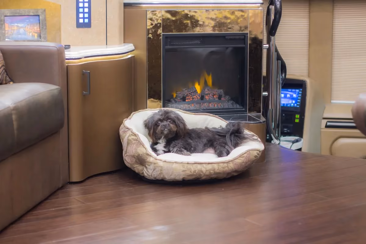 Visiting Marathon Headquarters and wondering where to take your dog for grooming or a good meal?