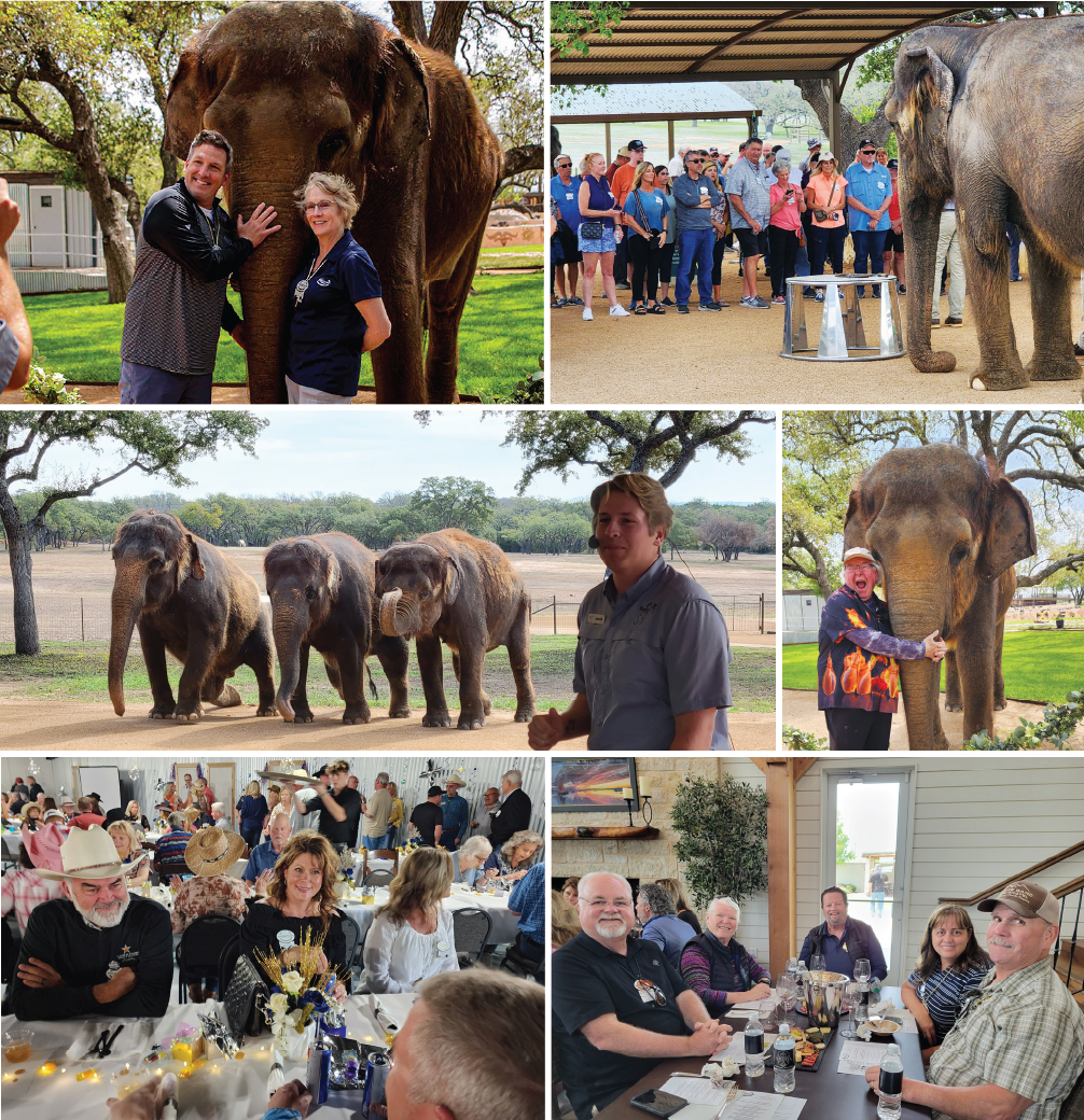 Marathon Coach Club members at The Preserve - An elephant sanctuary 