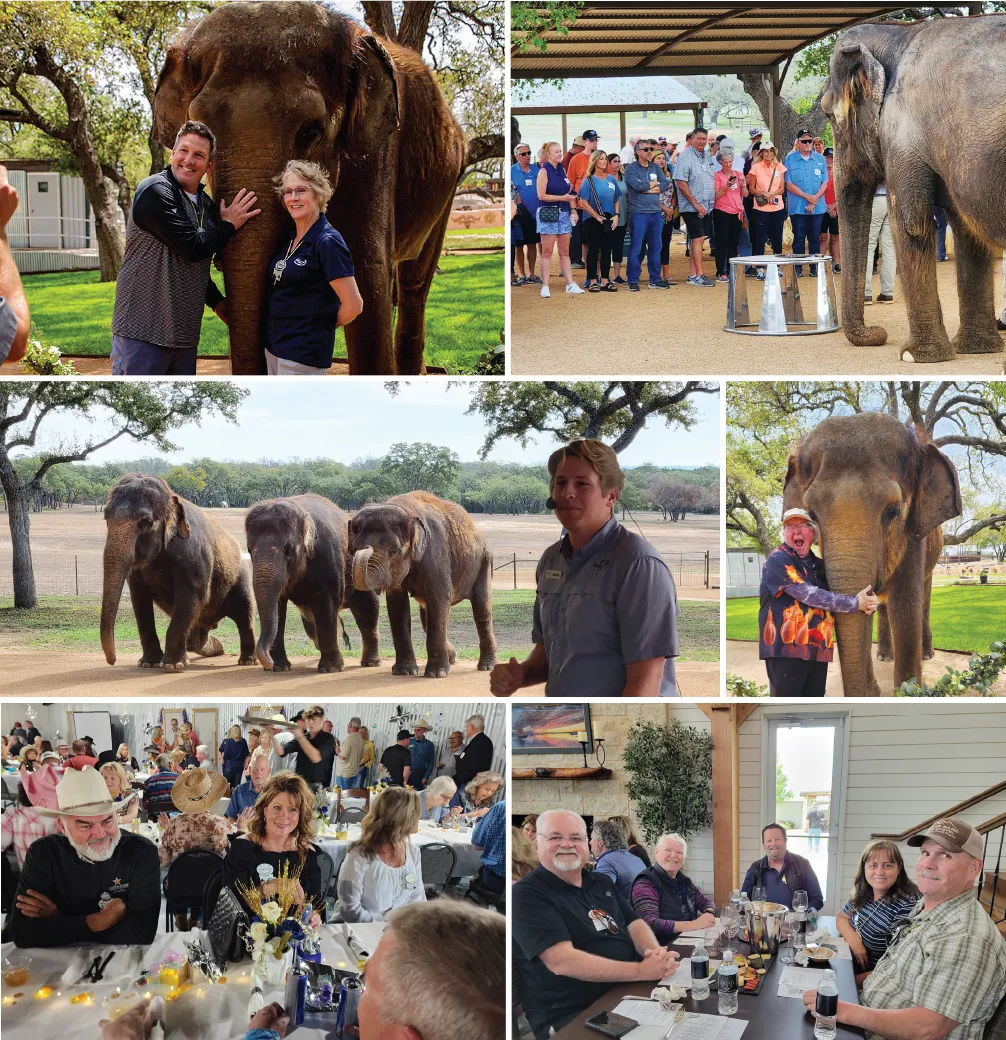 Marathon Coach Club members at The Preserve - An elephant sanctuary 