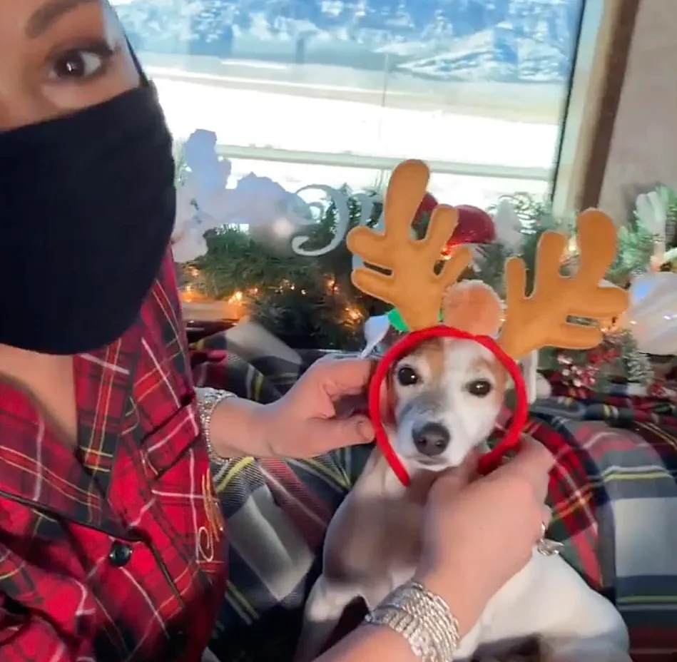 Mariah Carey and her dog traveling to Aspen in Marathon Coach #1255