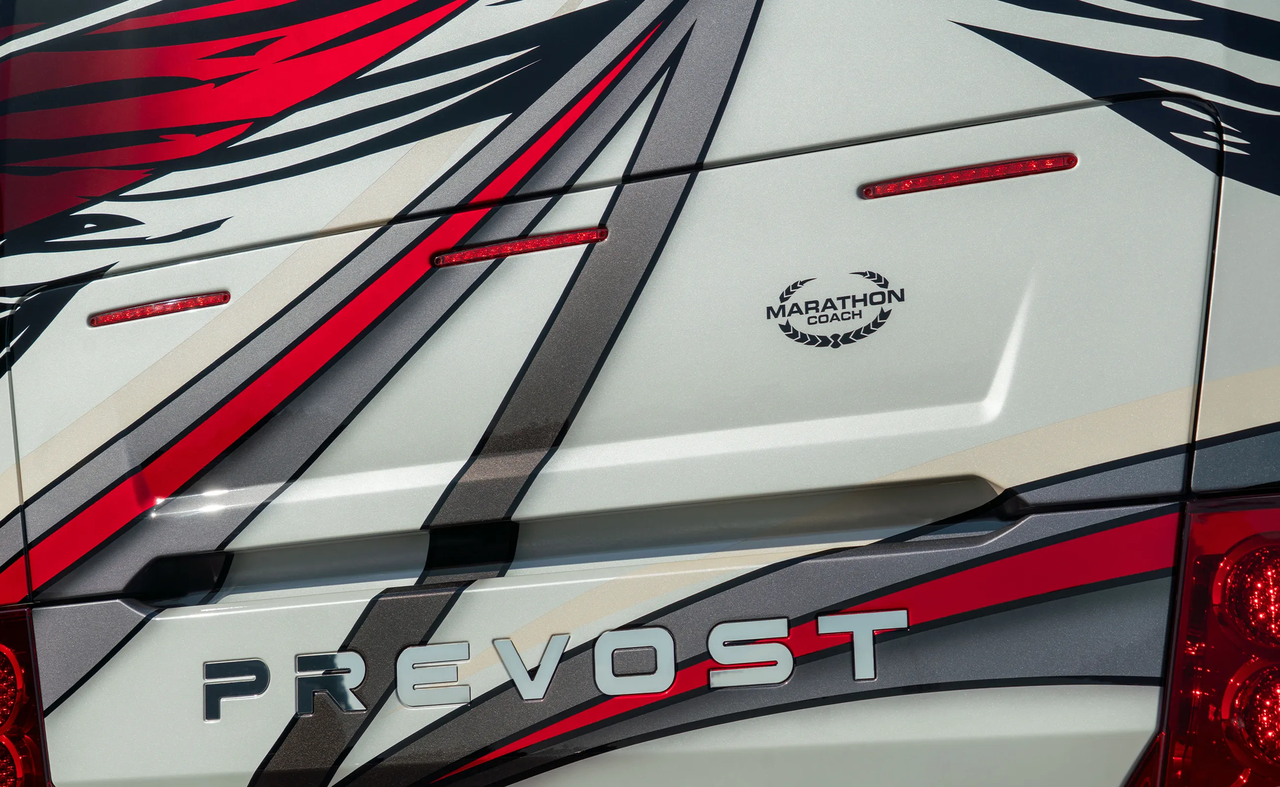 close-up detail rich photo of the endocarp on Marathon Coach 1419.