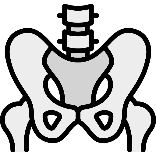 Pelvic Health