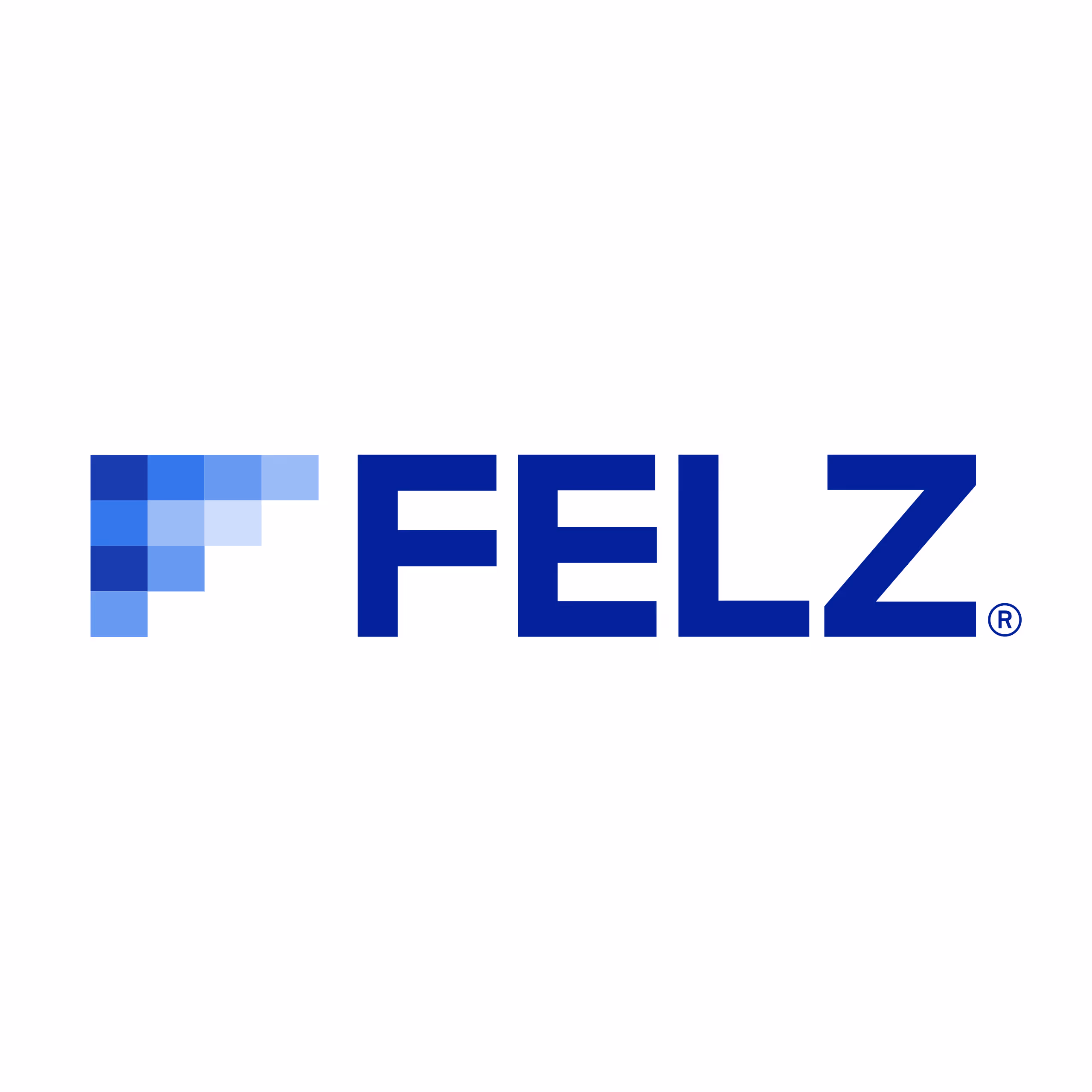 FELZ Inc.
