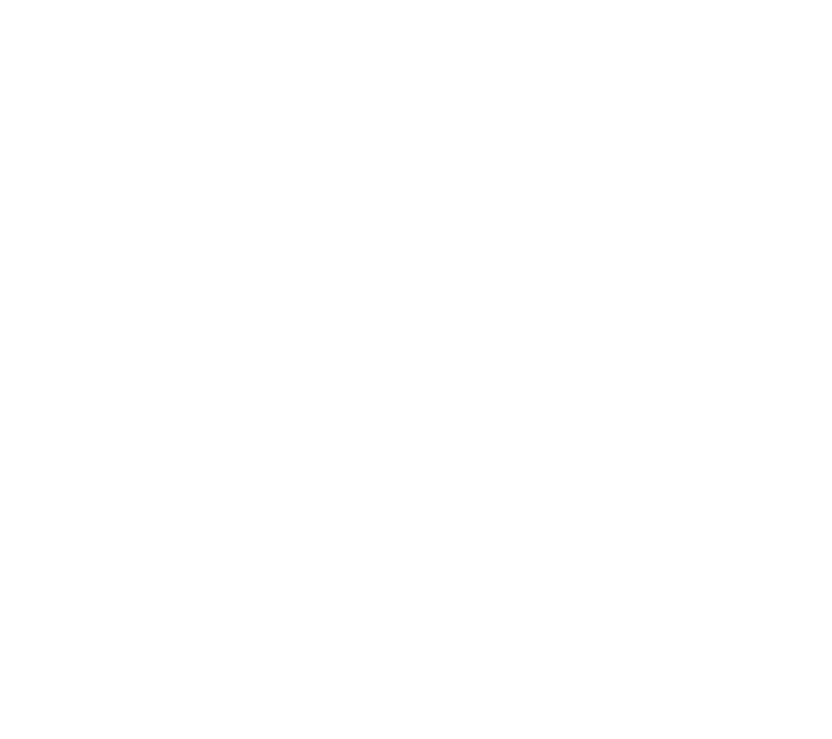 Anjos do Brasil