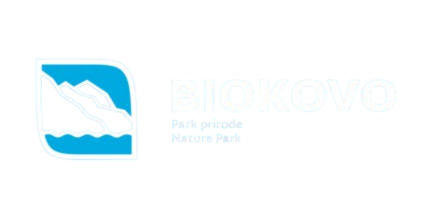 testimony author headshot