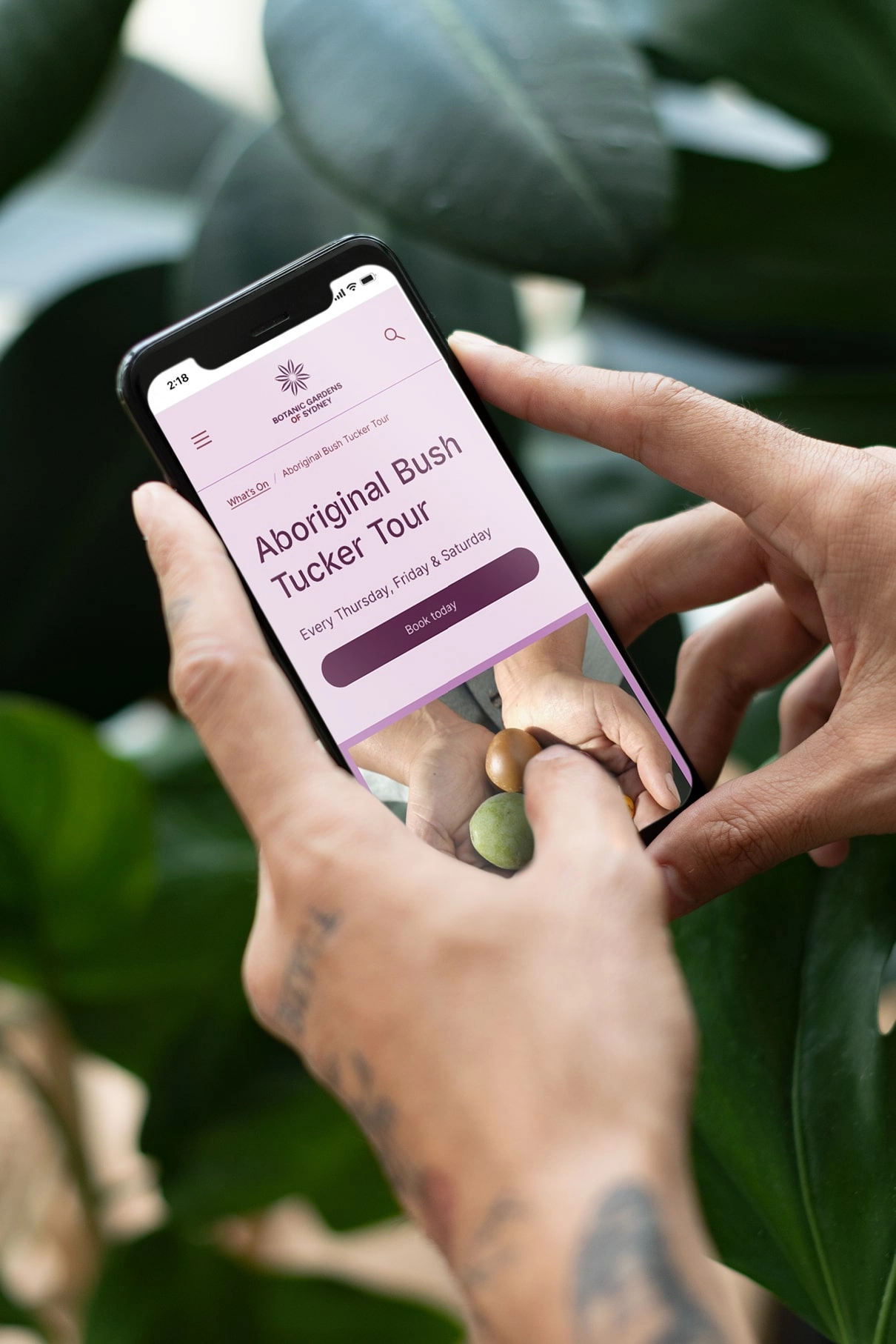 Person using a phone to view the Aboriginal Bush Tucker Tour booking page.