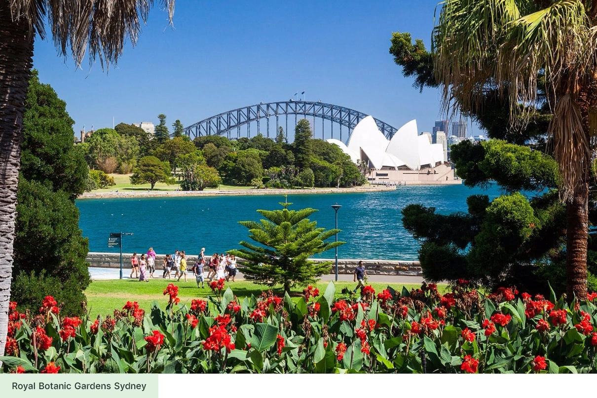 View of Sydney Harbour Bridge and Opera House from the Royal Botanic Gardens with red flowers in the foreground.
