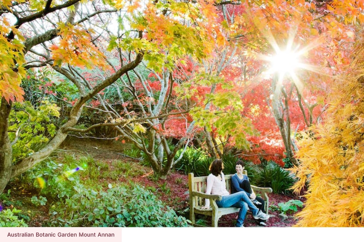 Two people sitting on a bench under vibrant autumn trees at the Australian Botanic Garden Mount Annan.